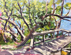 Painting by Steve Nash 