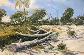 Loxahatchee Scrub by Steve Nash